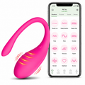 Controlled Rechargeable Egg Vibrator